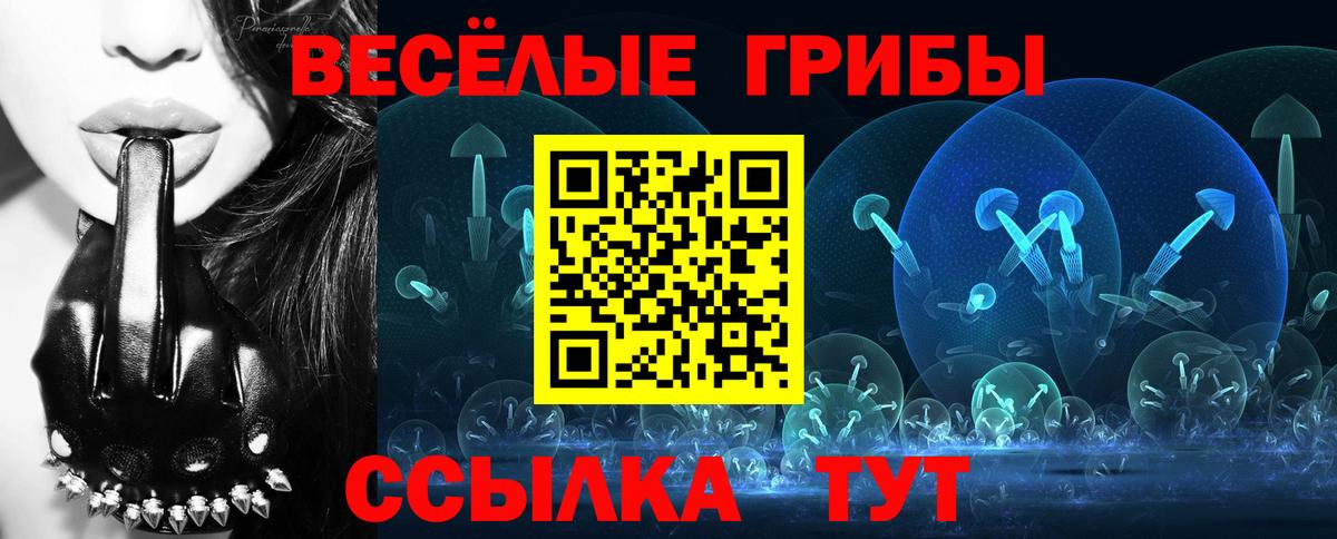 Псилоцибиновые грибы Magic Shrooms  Вход с VPN  Южно-Сахалинск 